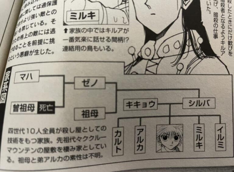 【ハンター図鑑】アルカ＝ゾルディックの性別を考察！最有力候補が男の理由 マンガマスタリー 5967