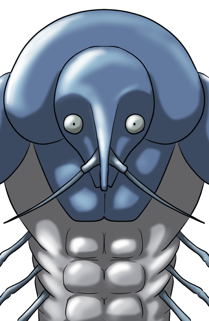 ハンターハンター キメラアント ブロヴーダ